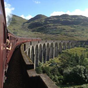 Profile Picture of Tracey McClellan (@trelmc) on Twitter