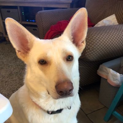 Profile Picture of JoLynn Wilson (@JoLynnW33892522) on Twitter