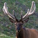 Profile Picture of Kathy Edens (@kdeiphone) on Instagram