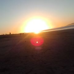 Profile Picture of Travis Crooks (@traviskiwikid) on Twitter