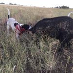 Profile Picture of Tyler Potter (@tylerpotter1576) on Instagram