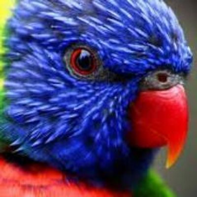 Profile Picture of Oken (@Ken51O) on Twitter