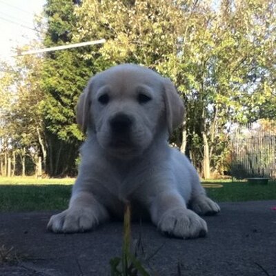 Profile Picture of Toby Wright (@tobywright24) on Twitter