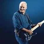 Profile Picture of David Gilmour (@david_gilmour__love_) on Instagram