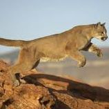 Profile Picture of Marko Maro Marcin (@marko.m.marcin) on Facebook