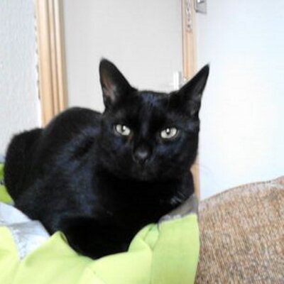 Profile Picture of Thomas Victor Willis (@tvw201440) on Twitter