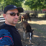 Profile Picture of Joe Araujo (@joearaujo5464) on Youtube