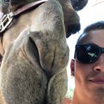 Alex Giuffrida - Instagram Profile Picture of Alex Giuffrida (@alextgiuffrida) on Instagram