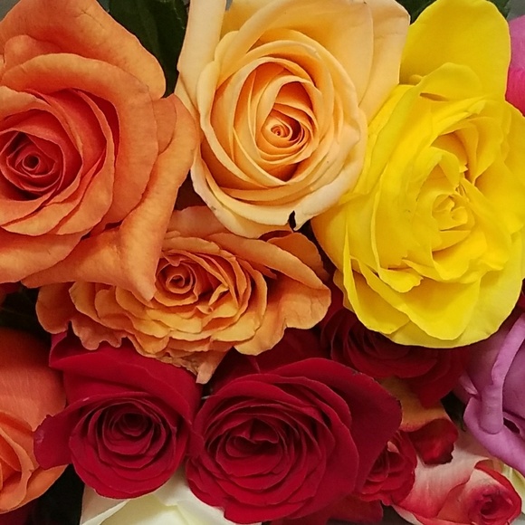 Profile Picture of Heather Hansen (@codelight4492) on Poshmark