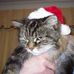 Profile Picture of Pipkin Alliston (@pipkin.alliston) on Facebook