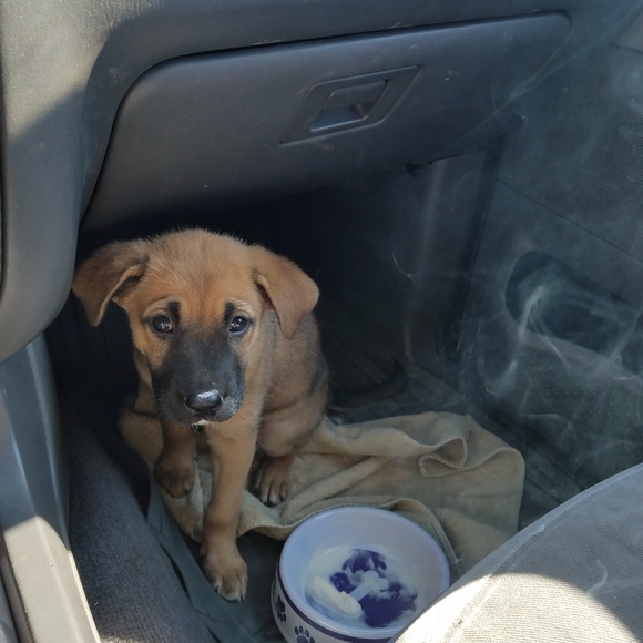 Profile Picture of Lorria Merryfield (@lmerryfield2) on Poshmark