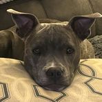 Profile Picture of Lori Leggett (@lori.leggett.71) on Facebook