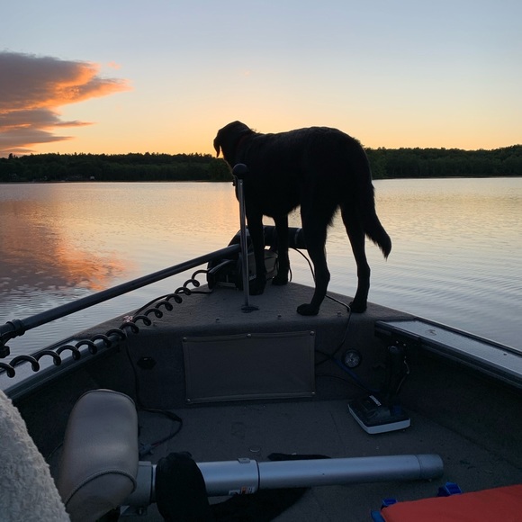 Profile Picture of Patricia Mcmullan (@pmcmulla) on Poshmark