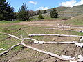 Profile Picture of Soil conservationon Wikipedia