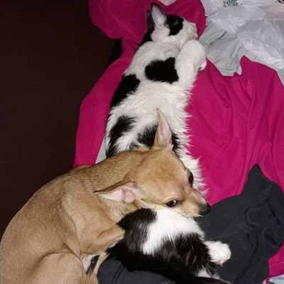 Profile Picture of Crystal Richard (@Crystal02860122) on Twitter