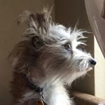 Profile Picture of Jonathan Gough (@jonathan.gough) on Instagram