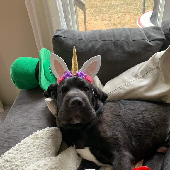 Profile Picture of Jenna Mcquinn (@thorinsmom) on Poshmark