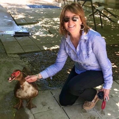 Profile Picture of Paula Hagan (@paulamhagan) on Twitter