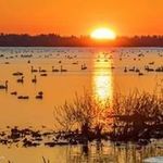 Profile Picture of Libby McKinney (@libby.mckinney.5) on Instagram