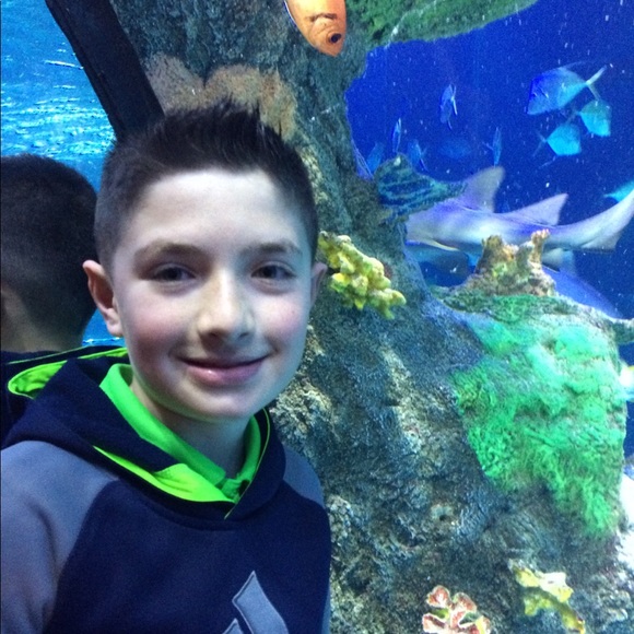 Profile Picture of George Moussa (@supreme4567654) on Poshmark