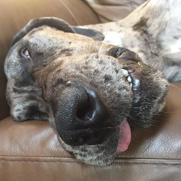 Profile Picture of Zach Laegel (@zlaegel) on Poshmark