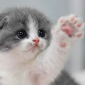 Profile Picture of Piper Thomas (@PiperThomas-q7z) on Youtube