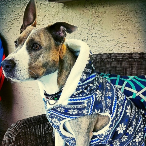 Profile Picture of Tonilynn Nappo (@tonilynn1223) on Poshmark