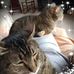 Profile Picture of Paula Herron Overton (@paula.herron.12) on Facebook