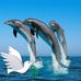 Profile Picture of Kathy Krammes (@Kathy-Krammes) on Facebook