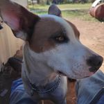 Profile Picture of Aaron Munn (@bdm_nitro) on Instagram