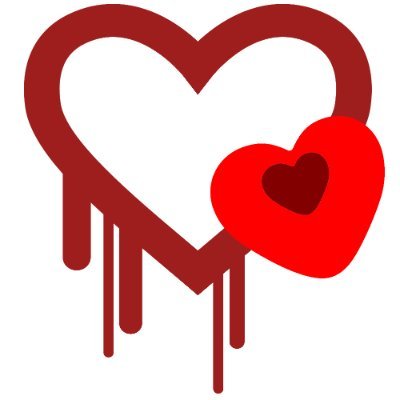 Profile Picture of ViviRoma.tv (@viviromatv) on Twitter