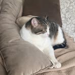 Profile Picture of Braian Ristow Floriani (@braian.ristow) on Facebook