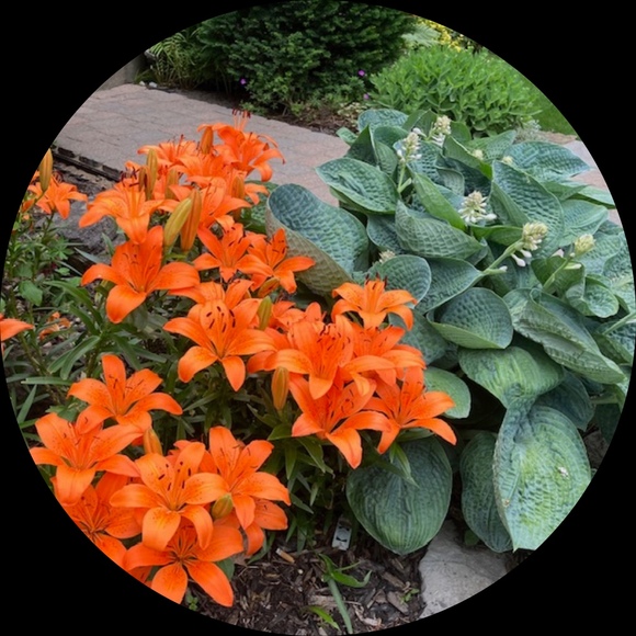 Profile Picture of John Kinack (@susanbrossard) on Poshmark