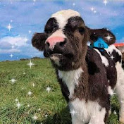 Profile Picture of Hannia Lizeth Solis Guevara (@hannializethsolisguevara1775) on Youtube