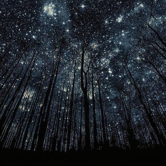 Profile Picture of Joanne Nelson (@josien83097) on Poshmark