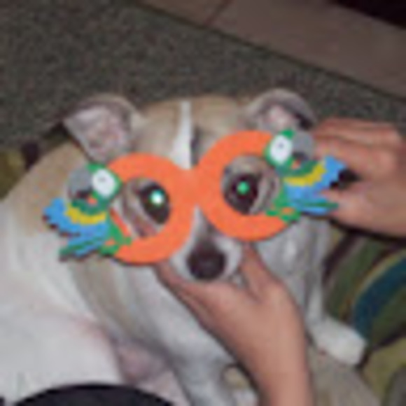 Profile Picture of Will Rodriguez (@immaseaslugg) on Poshmark