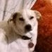 Profile Picture of Darryl Barbour (@darryl.barbour.549) on Facebook