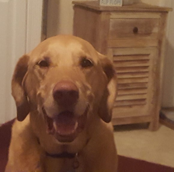 Profile Picture of Scott Gallaher (@scth) on Poshmark