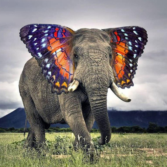 Profile Picture of Sandy Pace (@sandinette33) on Poshmark