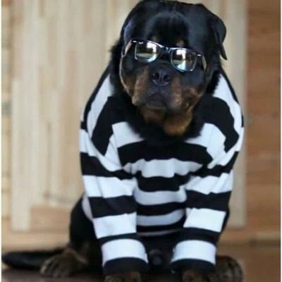 Profile Picture of Jacob Clinesmith (@jacobclinesmith) on Tiktok