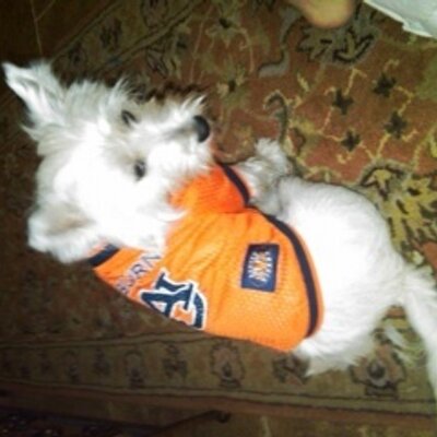 Chris Britton - Twitter Profile Picture of Chris Britton (@PokaChris) on Twitter