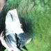 Profile Picture of Darcy Dirigible (@darcy.dirigible) on Facebook