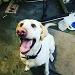 Profile Picture of Chris Conder (@rum_runner_charters) on Instagram