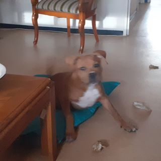 Andre Champion - Facebook Profile Picture of Andre Champion (@andre.champion.5015) on Facebook