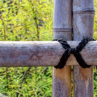 Profile Picture of Timothy Upham (@Timothy8845) on Twitter