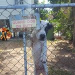 Profile Picture of Frances O'Brien (@frances.docksey) on Instagram