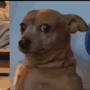 Profile Picture of Christopher Farrell (@christopherfarrell1774) on Youtube