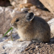 Julian Day - Youtube Profile Picture of Julian Day (@julianday2248) on Youtube