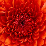 Profile Picture of Daniel Varghese (@danielsilish) on Youtube