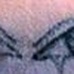 Profile Picture of James Vandenheuvel (@jamesvandenheuvel) on Instagram